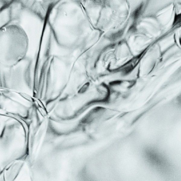 close up of salicylic acid 