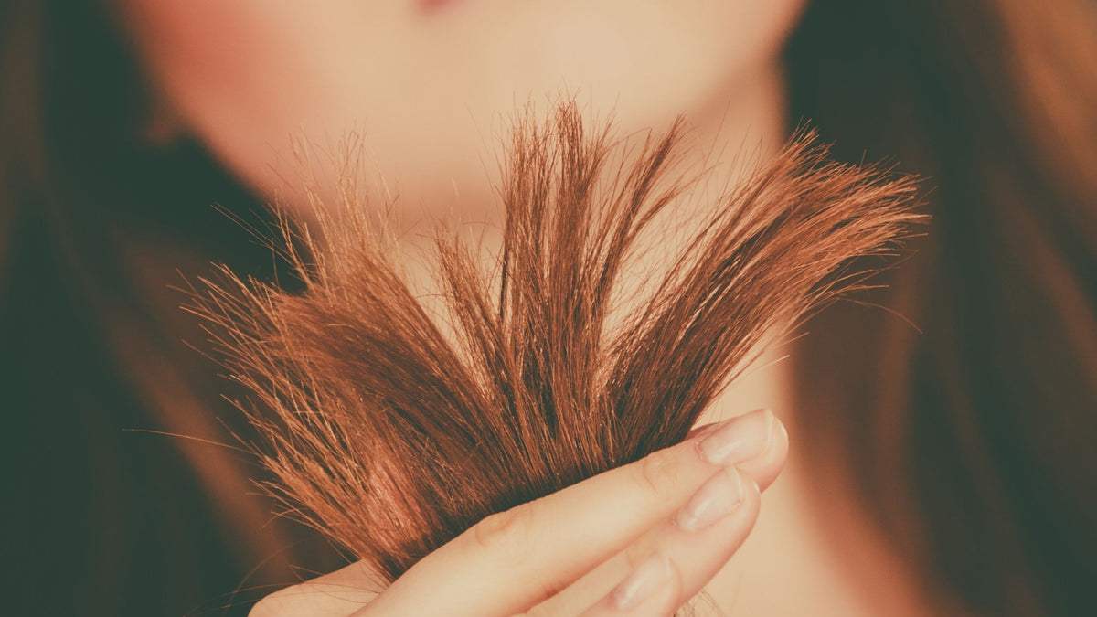 How to Help End Split Ends