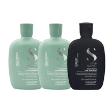 Alfaparf Scalp Renew Energizing Shampoo Duo with Complimentary Alfaparf Detox Shampoo