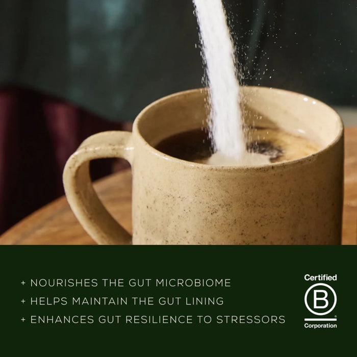 Ancient + Brave True Biome Sachets 15 Pack