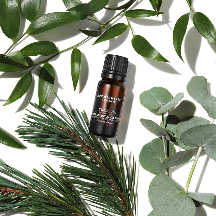 Aromatherapy Associates  Breathe Pure Essential Oil Blend 10ml