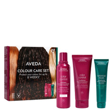 Aveda Color Care Kit