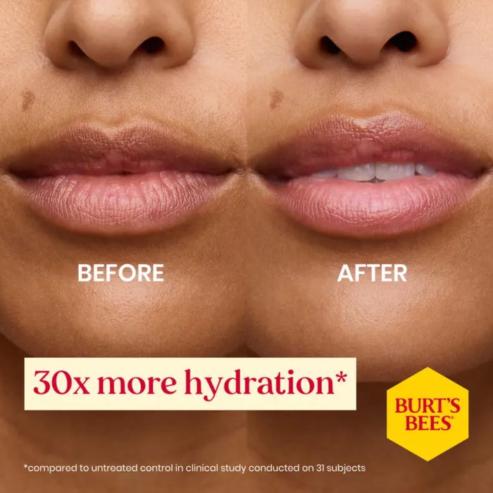 Burts Bees Winter Wonders Lip Balm Trio