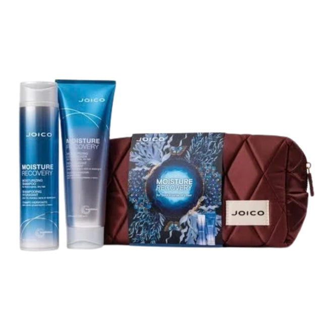 Joico Moisture Recovery Holiday Kit