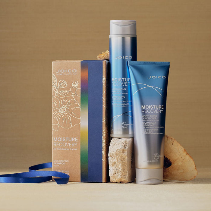 Joico Moisture Recovery Christmas Gift Set