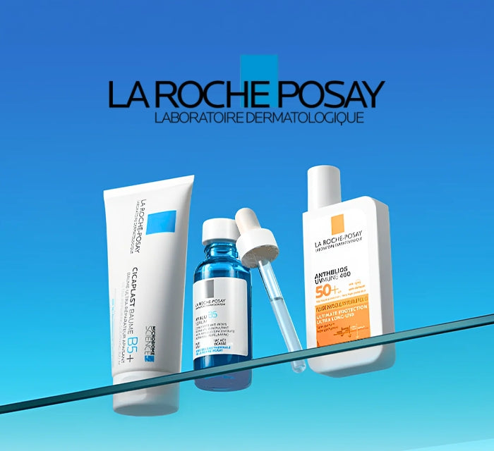 Le Roche Posse La Roche-Posay