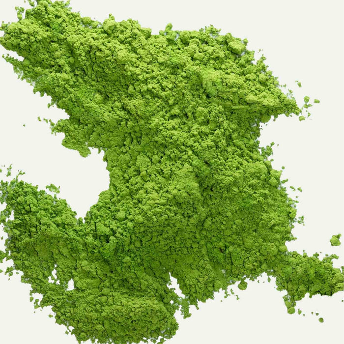 Health Bar Bio Matcha Traditional 50g Pouch