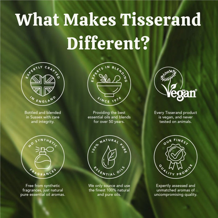 Tisserand Restore Balance Diffuser Oil (9ml)