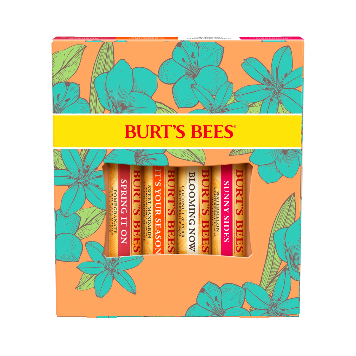 Burt's Bee's Just Picked Four Pack Gift Set.