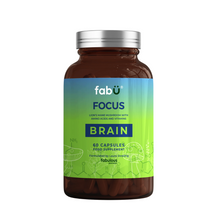 fabÜ Focus Brain