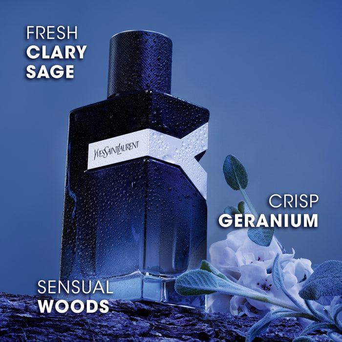 YSL Y Intense
