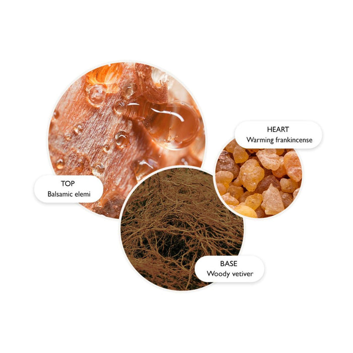 Molton Brown Festive Frankincense & Allspice Fine Liquid Hand Wash 300ml