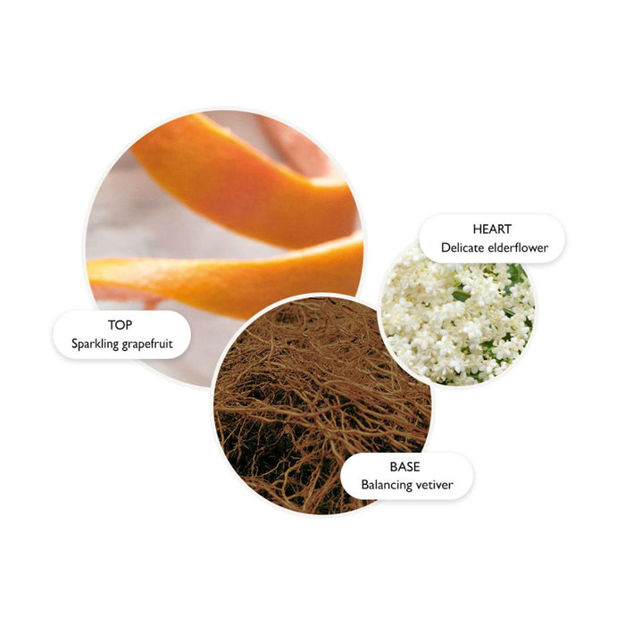 Molton Brown Vintage With Elderflower Fine Liquid Hand Wash 300ml