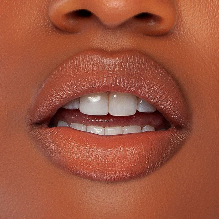 Kash Beauty Secret Treasure Lip Kit Rust Nude