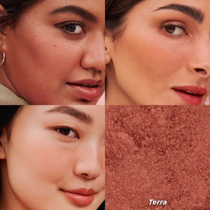 Benefit Powder Terra Golden Brick-Red Blush.